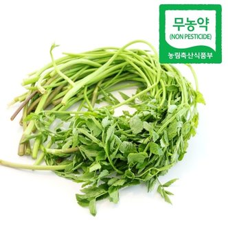  [무농약/당일수확] 친환경 청도 한재미나리 2kg