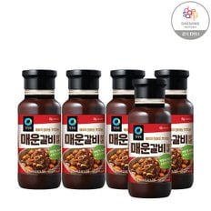 매운 갈비 화끈한맛 500gX5_P335462562