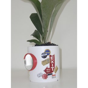 컨벡스 미러 팟 CONVEX MIRROR POT + 박쥐란 외 10PLANTS