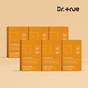 닥터트루 근력엔 강황 추출물 커큐민 수용성 나노 분말 30정, 6박스