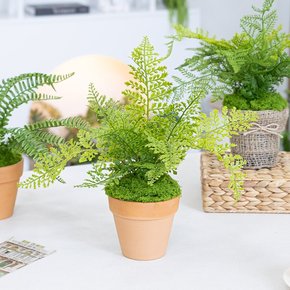 모던 인테리어 식물 나무 화분 set 35cm (DIY) 조화 여름 테이블 장식 꾸미기 소품 그리너리