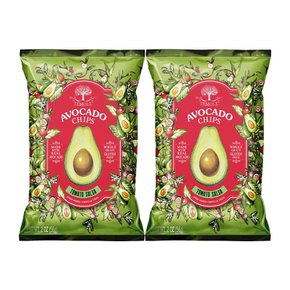 테몰 아보카도칩 토마토살사맛 40g x 2개
