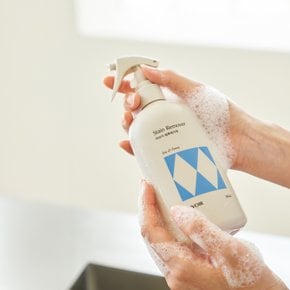 얼룩제거제 300ml (아이리스&피오니)