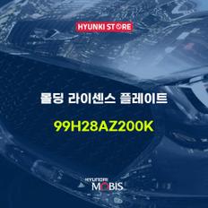 몰딩 라이센스 플레이트 (99H28AZ200K)