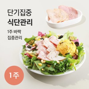 포켓샐러드 1주 단기집중 식단관리 _ 샐러드 6팩 + 라이스 6팩