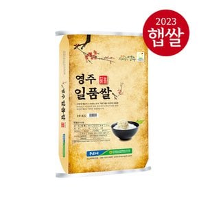 [안정농협] 경북 영주 일품쌀 10kg/단일품종/상등급/23년산