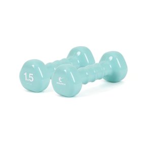 아이워너 PVC 컬러 삼각 아령 1개 1.5kg 네오민트