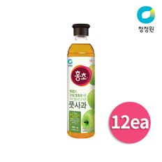 몸과 맘이 반짝! 홍초  풋사과 900mlX12EA