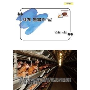 카드8%) 세계 동물의 날