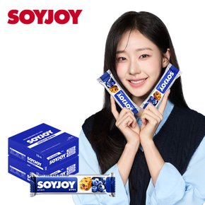 블루베리 24ea