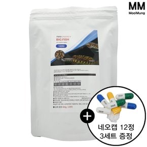 네오 에너지 빅피쉬 1000ml/400g/1L/1리터