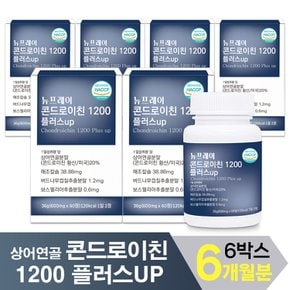 뉴프레이 콘드로이친 1200 플러스업 6개월분