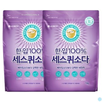  한입 100 세스퀴소다 과일 세정 세탁용 1KG X2