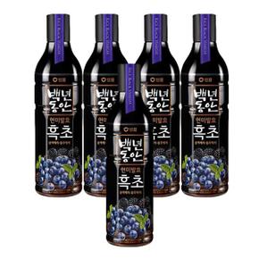 샘표 백년동한 현미발효 흑초 블랙베리 블루베리 900ml x 5개