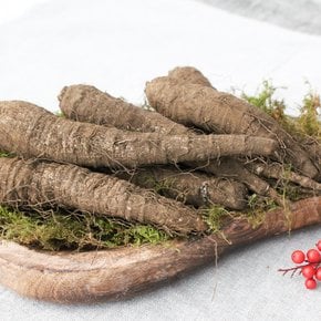 제주 화산토에서 자란 아삭하고 달콤한 검은 흙더덕(상) 1kg