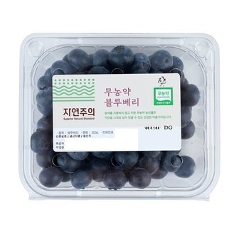 자연주의 친환경 생블루베리 200g/팩