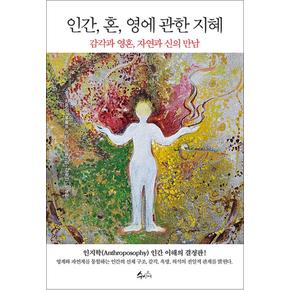 인간 혼 영에 관한 지혜 - 감각과 영혼 자연과 신의 만남