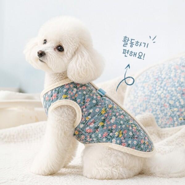확대된 대표 IMAGE1