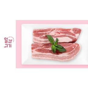 [냉장]무항생제 한돈 삼겹살 에어프라이어용 500g