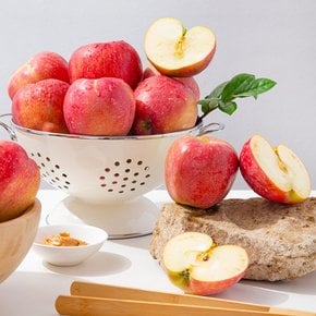 [더조은] 경북 홍로 알뜰 꿀사과 3kg 15-18과