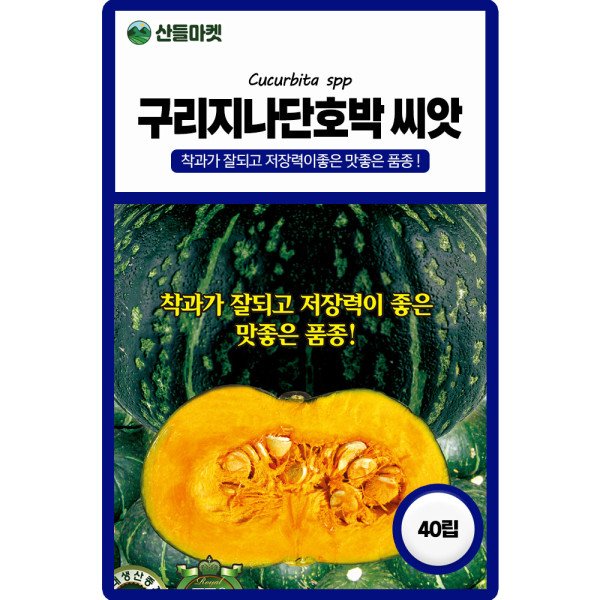 확대된 대표 상품이미지1