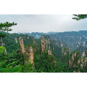 [제주항공 부산출발/직항] 노팁/노옵션 장가계 4일 - 천문산 천자산