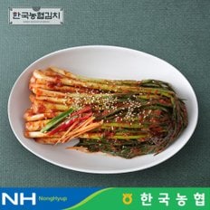 한국김치 전라도 순천 남도 파김치 1kg