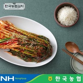 한국김치 전라도 순천 남도 파김치 1kg