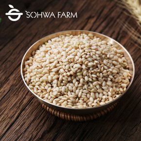 2025년 찰현미(찹쌀 현미) 2kg / 5kg