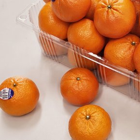 만다린 켈리포니아 감귤 1.9kg (24입)