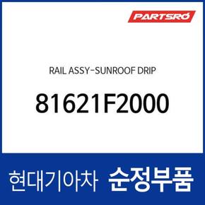 레일-선루프 드립 (81621F2000) 아반떼, 아반떼 하이브리드, 아반떼N