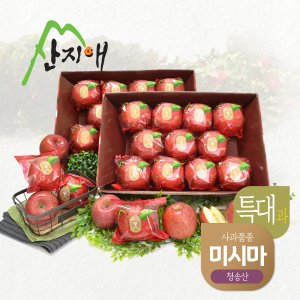  산지애 씻어나온 꿀사과 4kg 2box (특대과) / 청송산 미시마 , 당도선별