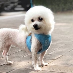 강아지 가슴줄 하네스 애견 반려견목줄 소형견 대형견