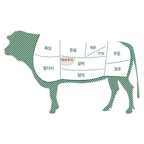 1++(9) 웻에이징 숙성 한우 제비추리 200g 구이용 로스용 근내지방도 9 특수부위