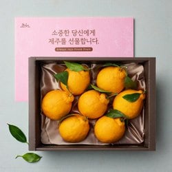 제주 한라봉 혼합과 5kg