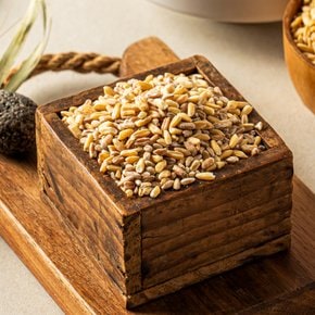 [부지런한농부] 듀럼밀 (고대이집트밀) 1kg