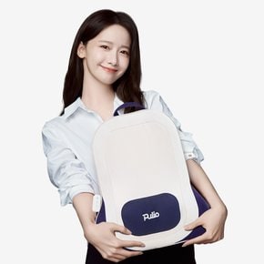 [SSG 비밀특가] 풀리오 등허리 쿠션 마사지기