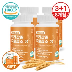 [건강머금] 호라산밀 카무트 곡물 발효 효소 정 3+1병(8개월분) +비타씨