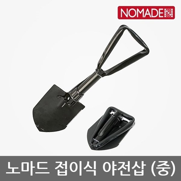 확대된 대표 image1