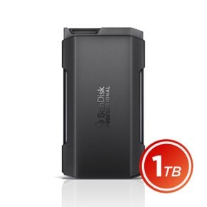 샌디스크 프로페셔널 PRO-BLADE Transport 1TB