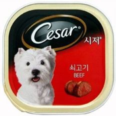 강아지 간식 시저캔 습식사료 통조림 쇠고기 1개