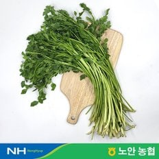 산지직송 세척 미나리 200g x 5팩 / 총1kg