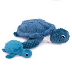 Turtle Mom & Baby Blue