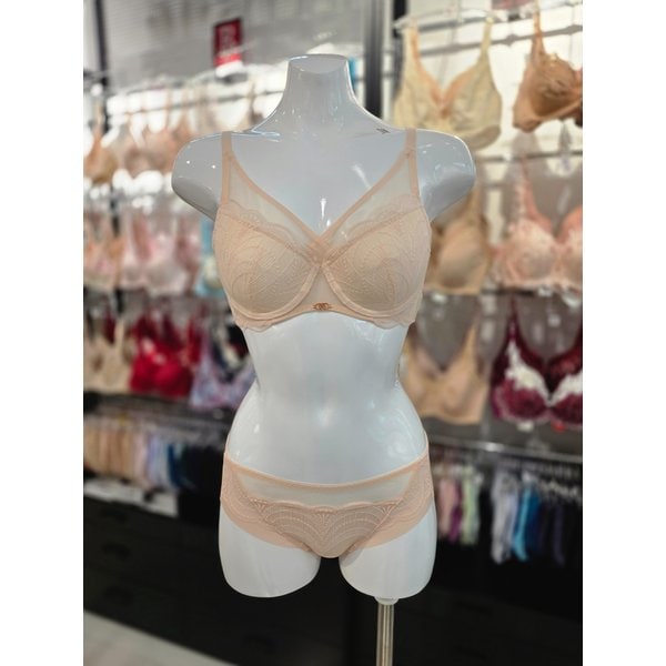 [시흥점] (시흥) 비너스 튤레이스 풀 커버리지 패드브라, 헴팬티 세트 [VBR1496/VPT1496H-SK]