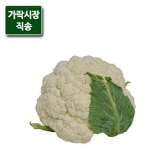 팸쿡 가락시장직송 칼리플라워 1개