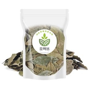 그라비올라 그라비올라잎 그라비올라잎차 250g
