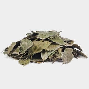 그라비올라 그라비올라잎 그라비올라잎차 250g