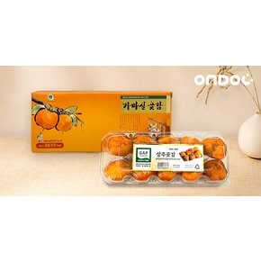 상주곶감 실속형 반건시 곶감 500g(10과)