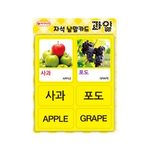 한글영어 자석 낱말카드(과일) /한글공부/단어카드