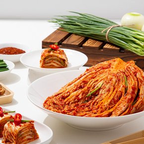 [더조은] 햇살담은 국내산 배추김치 1kg